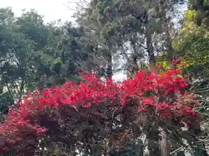 大宮温泉神社(栃木県)(2022年11月11日(金) 06時12分11秒投稿)