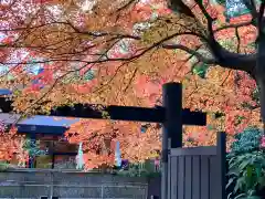 賀茂御祖神社（下鴨神社）(京都府)