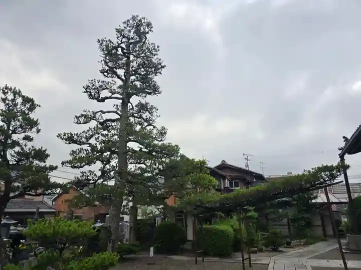 青嶠寺(滋賀県)