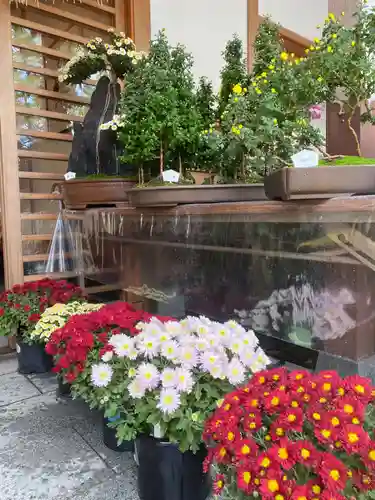 美奈宜神社(福岡県)