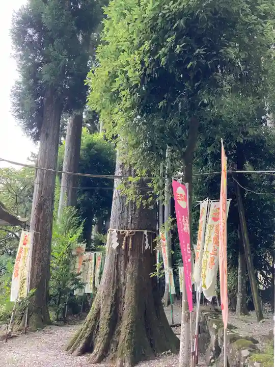 中之嶽神社の自然