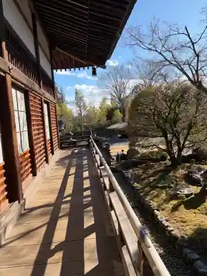能仁寺の{uncategorized: "未分類", other: "その他", undefined: "問題あり", building: "その他建物", grave: "お墓", sacred_gate: "鳥居", guardian: "狛犬", statue: "像", buddha: "仏像", history: "歴史", nature: "自然", garden: "庭園", animal: "動物", pagoda: "塔", temizu: "手水舎", mountain_gate: "山門・神門", sanctuary: "本殿・本堂", subordinate: "末社・摂社", art: "芸術", scenery: "景色", jizo: "地蔵", ema: "絵馬", goshuin: "御朱印", omikuji: "おみくじ", items: "授与品その他", amulet: "お守り", goshuincho: "御朱印帳", eats: "食事", festival: "お祭り", votive_dance: "神楽", shichigosan: "七五三参", wedding: "結婚式", experience: "体験その他", initially: "初詣", around: "周辺", anti_infection: "感染症対策"}