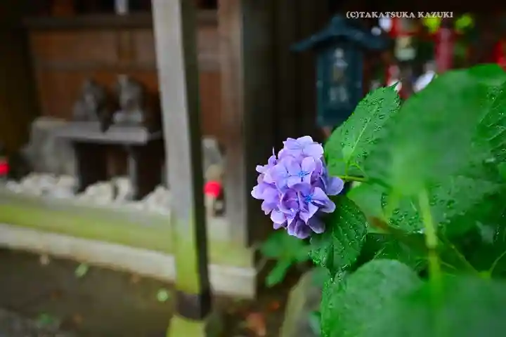 田無神社(東京都)