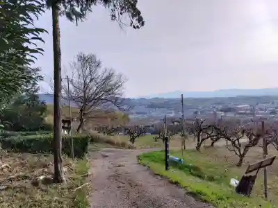九社神社の{uncategorized: "未分類", other: "その他", undefined: "問題あり", building: "その他建物", grave: "お墓", sacred_gate: "鳥居", guardian: "狛犬", statue: "像", buddha: "仏像", history: "歴史", nature: "自然", garden: "庭園", animal: "動物", pagoda: "塔", temizu: "手水舎", mountain_gate: "山門・神門", sanctuary: "本殿・本堂", subordinate: "末社・摂社", art: "芸術", scenery: "景色", jizo: "地蔵", ema: "絵馬", goshuin: "御朱印", omikuji: "おみくじ", items: "授与品その他", amulet: "お守り", goshuincho: "御朱印帳", eats: "食事", festival: "お祭り", votive_dance: "神楽", shichigosan: "七五三参", wedding: "結婚式", experience: "体験その他", initially: "初詣", around: "周辺", anti_infection: "感染症対策"}