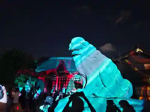 浅草神社のお祭り