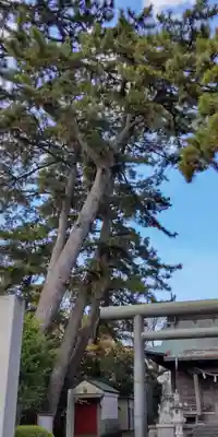 山王神社(神奈川県)