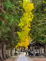 新宮熊野神社(福島県)