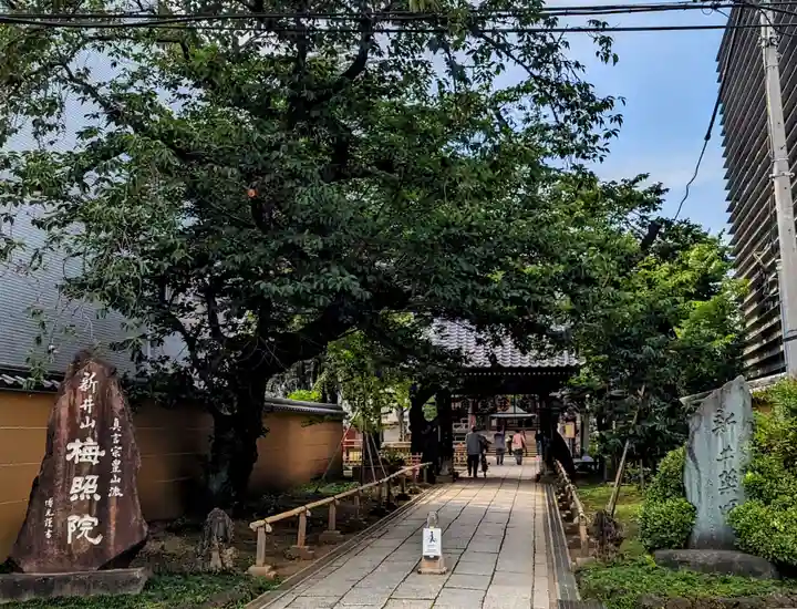 新井薬師(梅照院)(東京都)