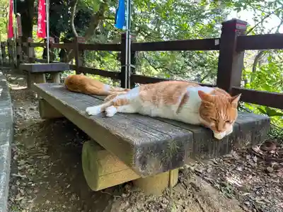 唐澤山神社(栃木県)