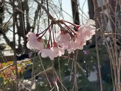 芳林寺(埼玉県)