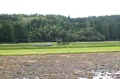 豊玉姫神社の自然