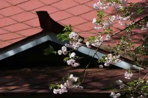 御札神社の本殿