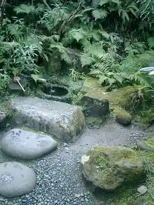 瑞泉寺の手水舎