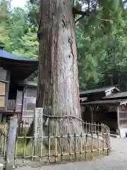 日枝神社の建物その他