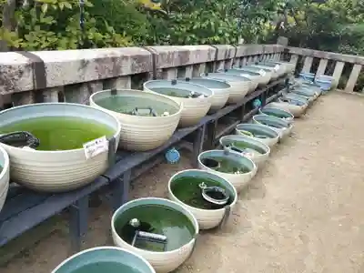 おふさ観音（観音寺）(奈良県)