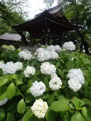 妙楽寺(神奈川県)