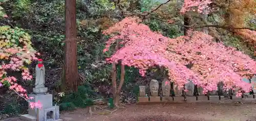 黒石寺(岩手県)