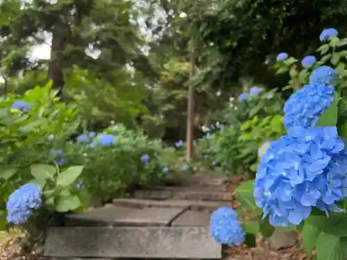 吉備津神社の自然