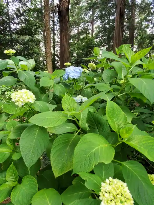 磯山神社の自然