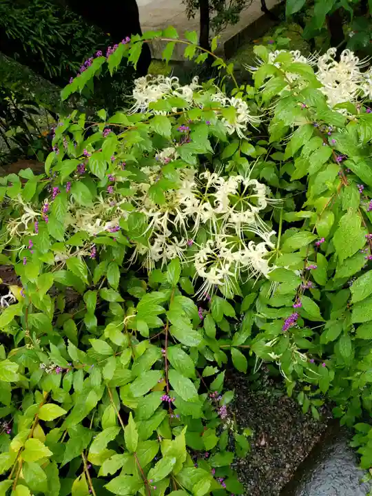 世尊院(東京都)