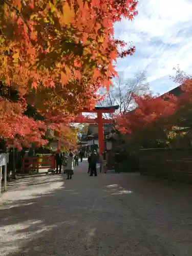 賀茂御祖神社（下鴨神社）の{uncategorized: "未分類", other: "その他", undefined: "問題あり", building: "その他建物", grave: "お墓", sacred_gate: "鳥居", guardian: "狛犬", statue: "像", buddha: "仏像", history: "歴史", nature: "自然", garden: "庭園", animal: "動物", pagoda: "塔", temizu: "手水舎", mountain_gate: "山門・神門", sanctuary: "本殿・本堂", subordinate: "末社・摂社", art: "芸術", scenery: "景色", jizo: "地蔵", ema: "絵馬", goshuin: "御朱印", omikuji: "おみくじ", items: "授与品その他", amulet: "お守り", goshuincho: "御朱印帳", eats: "食事", festival: "お祭り", votive_dance: "神楽", shichigosan: "七五三参", wedding: "結婚式", experience: "体験その他", initially: "初詣", around: "周辺", anti_infection: "感染症対策"}