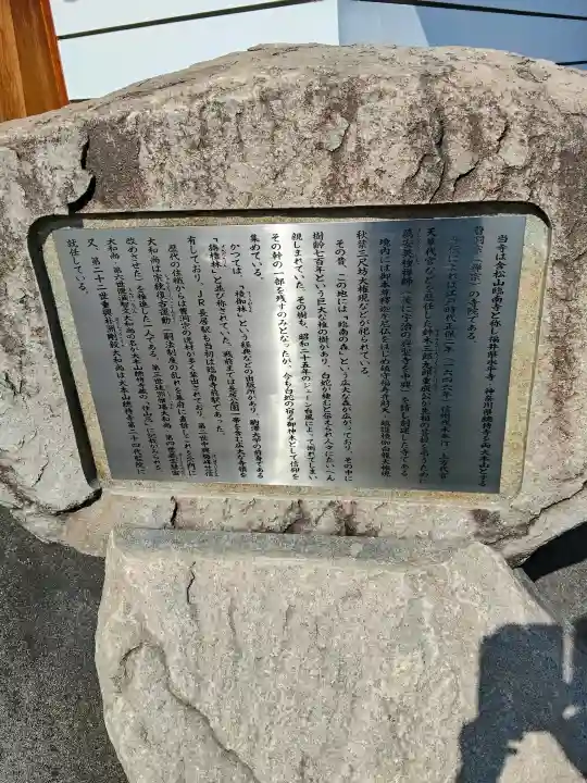 臨南寺の{uncategorized: "未分類", other: "その他", undefined: "問題あり", building: "その他建物", grave: "お墓", sacred_gate: "鳥居", guardian: "狛犬", statue: "像", buddha: "仏像", history: "歴史", nature: "自然", garden: "庭園", animal: "動物", pagoda: "塔", temizu: "手水舎", mountain_gate: "山門・神門", sanctuary: "本殿・本堂", subordinate: "末社・摂社", art: "芸術", scenery: "景色", jizo: "地蔵", ema: "絵馬", goshuin: "御朱印", omikuji: "おみくじ", items: "授与品その他", amulet: "お守り", goshuincho: "御朱印帳", eats: "食事", festival: "お祭り", votive_dance: "神楽", shichigosan: "七五三参", wedding: "結婚式", experience: "体験その他", initially: "初詣", around: "周辺", anti_infection: "感染症対策"}
