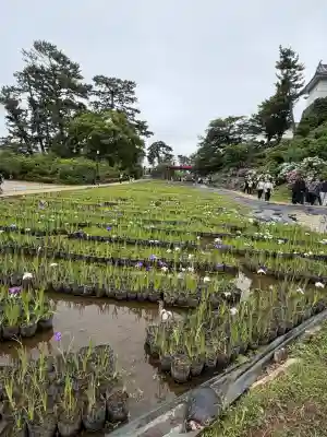 報徳二宮神社(神奈川県)