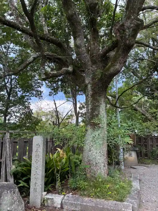 青蓮院門跡(京都府)