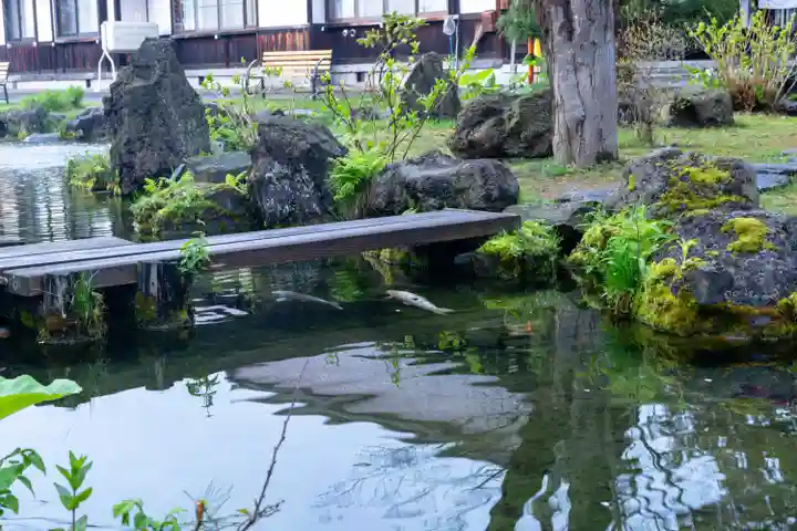 北海道護國神社の動物