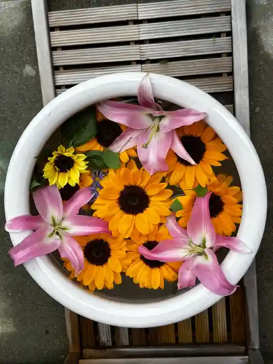 徳島眉山天神社(徳島県)