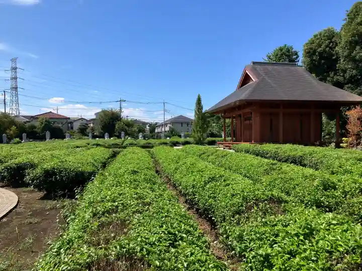 普門院(埼玉県)