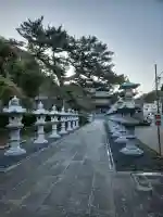 誕生寺の{uncategorized: "未分類", other: "その他", undefined: "問題あり", building: "その他建物", grave: "お墓", sacred_gate: "鳥居", guardian: "狛犬", statue: "像", buddha: "仏像", history: "歴史", nature: "自然", garden: "庭園", animal: "動物", pagoda: "塔", temizu: "手水舎", mountain_gate: "山門・神門", sanctuary: "本殿・本堂", subordinate: "末社・摂社", art: "芸術", scenery: "景色", jizo: "地蔵", ema: "絵馬", goshuin: "御朱印", omikuji: "おみくじ", items: "授与品その他", amulet: "お守り", goshuincho: "御朱印帳", eats: "食事", festival: "お祭り", votive_dance: "神楽", shichigosan: "七五三参", wedding: "結婚式", experience: "体験その他", initially: "初詣", around: "周辺", anti_infection: "感染症対策"}