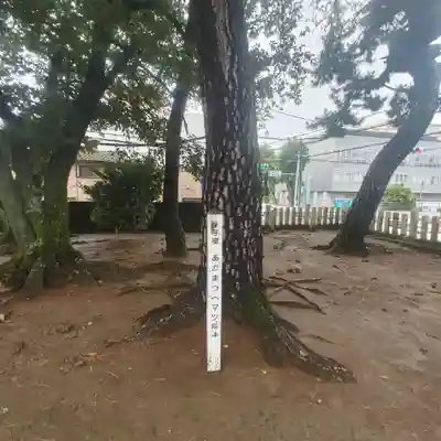 天疫神社の自然