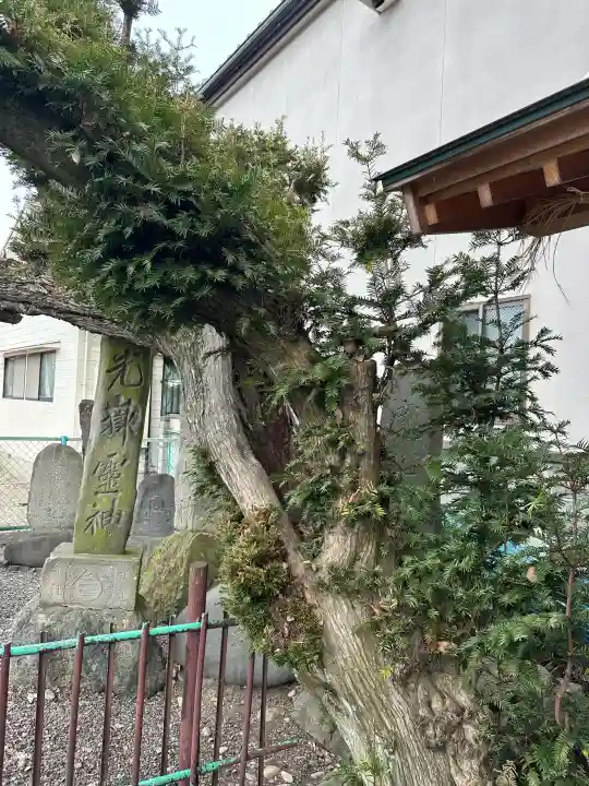 槻井泉神社の{uncategorized: "未分類", other: "その他", undefined: "問題あり", building: "その他建物", grave: "お墓", sacred_gate: "鳥居", guardian: "狛犬", statue: "像", buddha: "仏像", history: "歴史", nature: "自然", garden: "庭園", animal: "動物", pagoda: "塔", temizu: "手水舎", mountain_gate: "山門・神門", sanctuary: "本殿・本堂", subordinate: "末社・摂社", art: "芸術", scenery: "景色", jizo: "地蔵", ema: "絵馬", goshuin: "御朱印", omikuji: "おみくじ", items: "授与品その他", amulet: "お守り", goshuincho: "御朱印帳", eats: "食事", festival: "お祭り", votive_dance: "神楽", shichigosan: "七五三参", wedding: "結婚式", experience: "体験その他", initially: "初詣", around: "周辺", anti_infection: "感染症対策"}