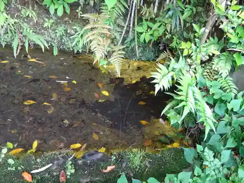 白笹稲荷神社の自然
