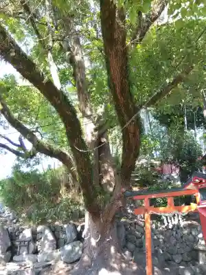 瓢箪山稲荷神社(大阪府)