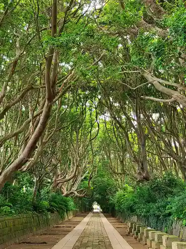 酒列磯前神社の景色