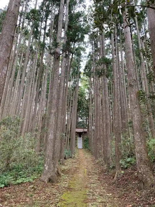 大山祇神社のその他建物