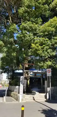 八幡神社(千葉県)