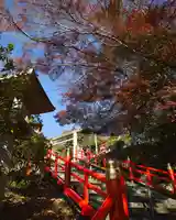 足利織姫神社(栃木県)