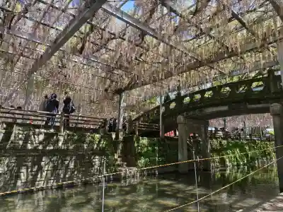 中山熊野神社の{uncategorized: "未分類", other: "その他", undefined: "問題あり", building: "その他建物", grave: "お墓", sacred_gate: "鳥居", guardian: "狛犬", statue: "像", buddha: "仏像", history: "歴史", nature: "自然", garden: "庭園", animal: "動物", pagoda: "塔", temizu: "手水舎", mountain_gate: "山門・神門", sanctuary: "本殿・本堂", subordinate: "末社・摂社", art: "芸術", scenery: "景色", jizo: "地蔵", ema: "絵馬", goshuin: "御朱印", omikuji: "おみくじ", items: "授与品その他", amulet: "お守り", goshuincho: "御朱印帳", eats: "食事", festival: "お祭り", votive_dance: "神楽", shichigosan: "七五三参", wedding: "結婚式", experience: "体験その他", initially: "初詣", around: "周辺", anti_infection: "感染症対策"}