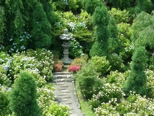 善峯寺の庭園