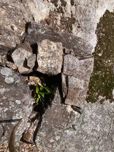 朝立彦神社のその他建物