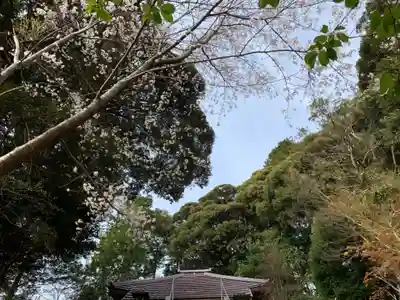 日枝神社(千葉県)