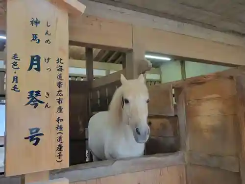 金刀比羅宮(香川県)
