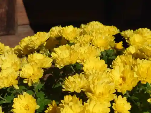 今宮坊(埼玉県)