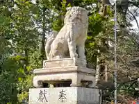 多賀大社の狛犬