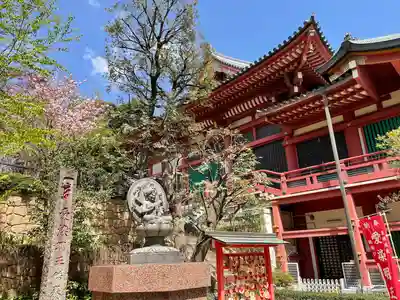 瀧泉寺（目黒不動尊）(東京都)