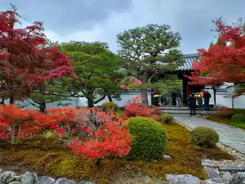 圓光寺の庭園