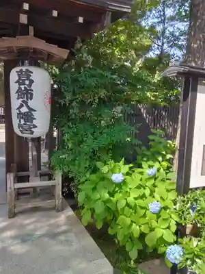 葛飾八幡宮(千葉県)